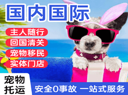 抚远空运公司国际宠物托运 【国